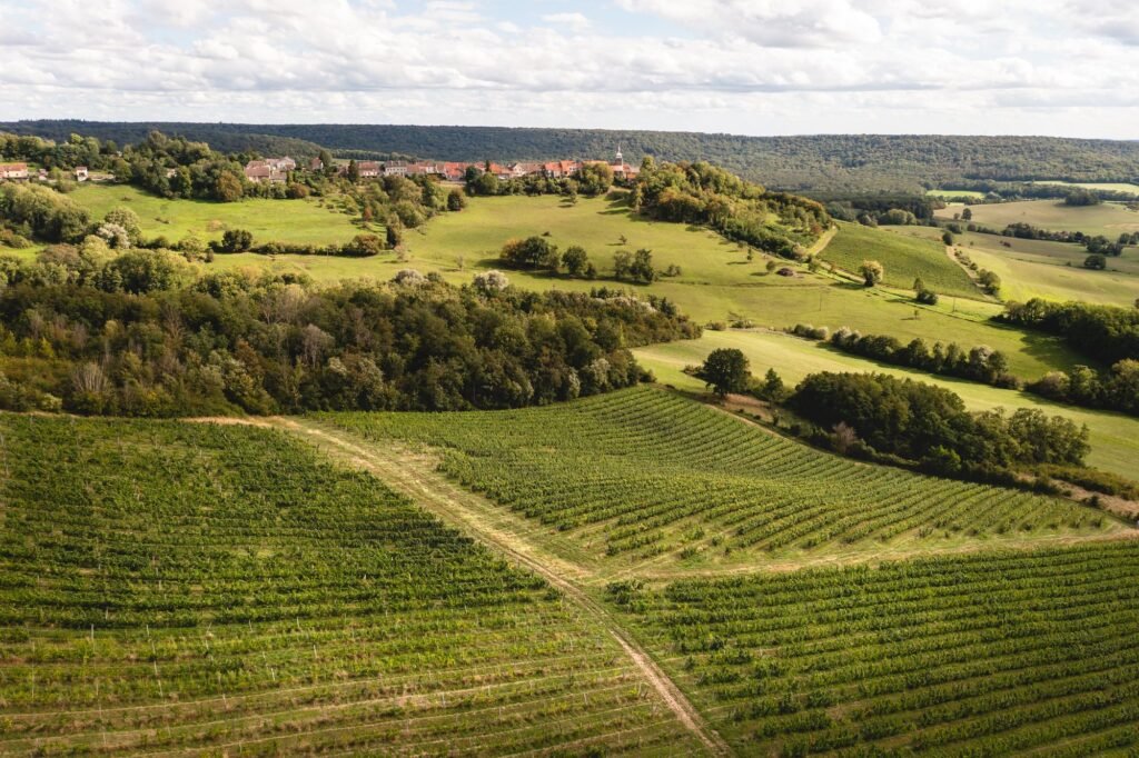 Vue aérienne des parcelles du domaine, dessinées sur la colline