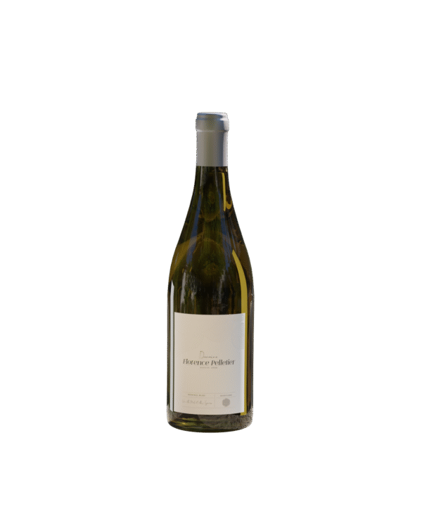 Bouteille d hypocras blanc, vin au miel et aux epices